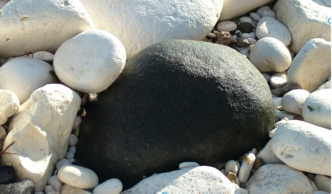 Terbaru! Ini 5 Poin Beda Jalur P3K Guru P2 P3 dan Lulusan PPG