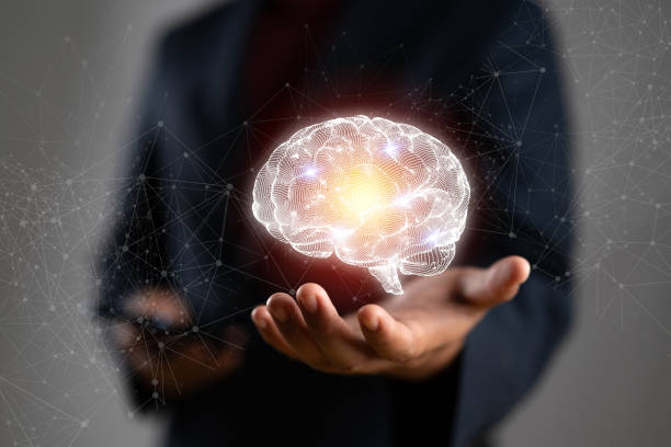 5 Fakta Apa Itu Tes UP PPG? Gerbang Penentu Nasib Sertifikat Pendidik Anda