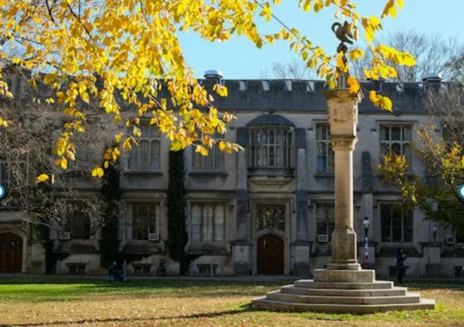 5 Rahasia Berapa Besar Beasiswa Chevening 2025